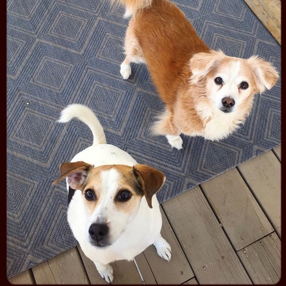 Meet your Posher, Jamie - Picture 11 of 14